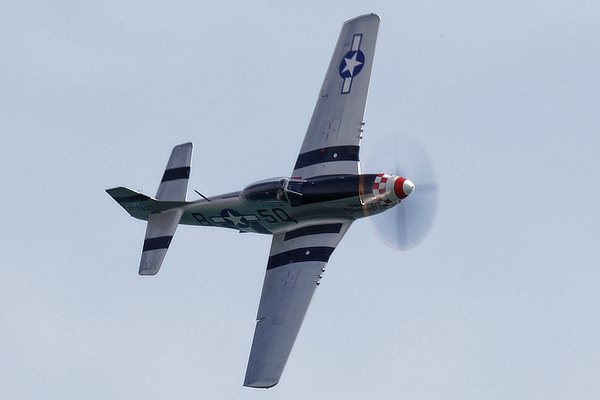 North American Mustang Marinell