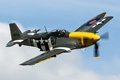 OFMC's Mk 1X Spitfire hides behind their P-51 Mustang