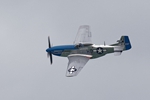 Mustang Moonbeam McSwine 1189