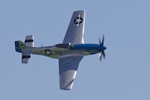 Mustang Moonbeam McSwine 2096