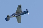 Mustang Moonbeam McSwine 2128