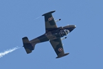 Strikemaster 2971
