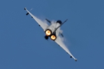 Typhoon Feel the heat 3032