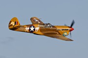 Curtiss P-40F 'Warhawk' Lee's Hope 6406