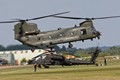 916A4034chinook