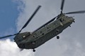 916A4127chinook_2