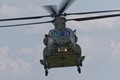 916A4277chinook