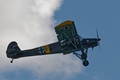 storch 1613