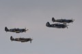 Hawk 75 and 3 Spitfires 3122