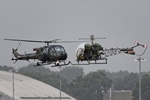 Westland Scout and Agusta-Bell Sioux
