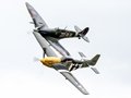 Mustang & Spitfire