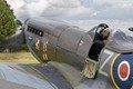 Spitfire TE311 9771