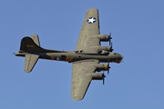 Sally B 4057