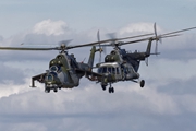 Mil Mi-171 and Mil Mi-24 Czech Air force 3747