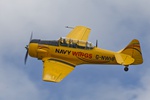 Harvard Navy Wings 0259